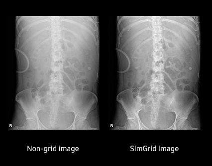 Функция виртуальной решетки SimGrid - рентген